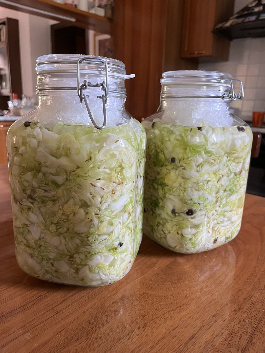 Trying to make some #sourkrout! Finger crossed the #fermentation will work out well! 🤞
#fermentedfoods #eatmicrobes