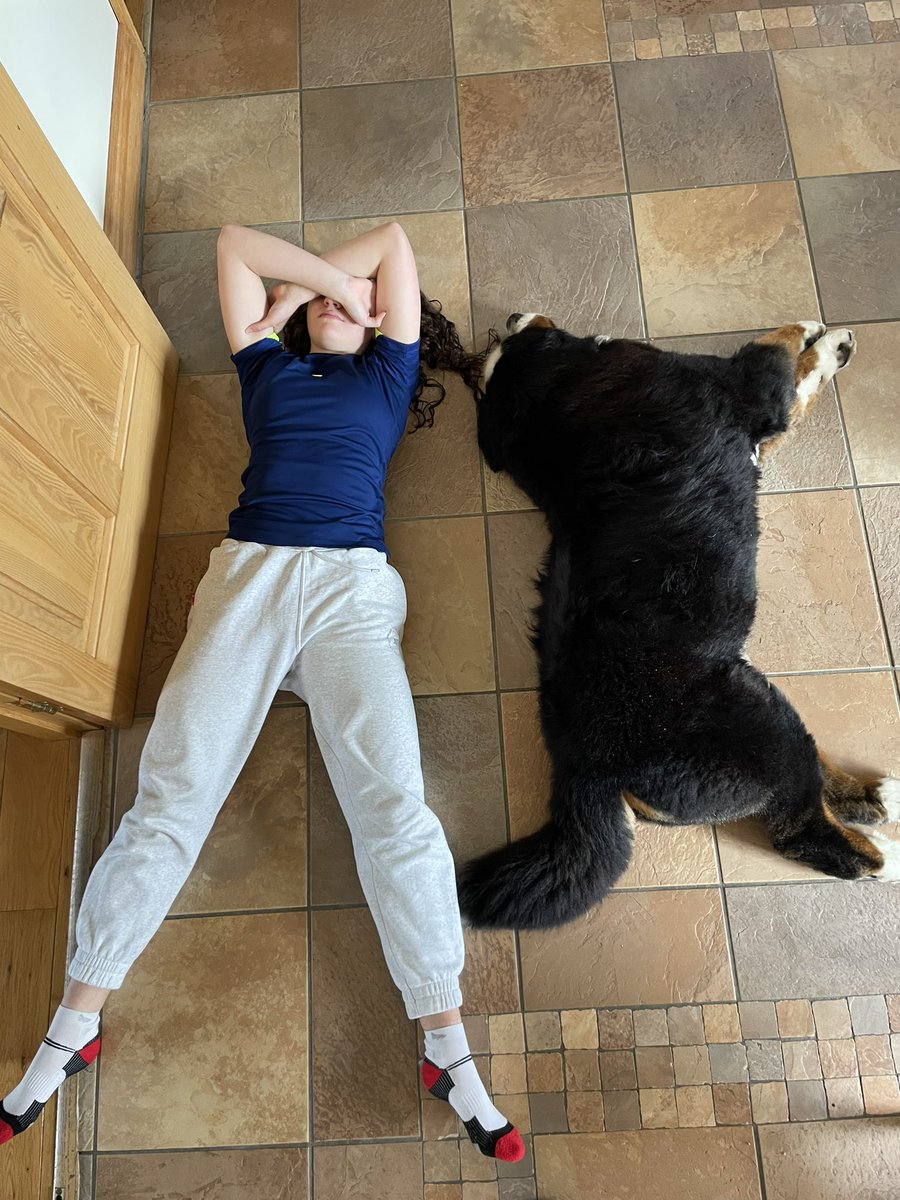 I’m not lazy, I’m on my dog’s schedule 💤