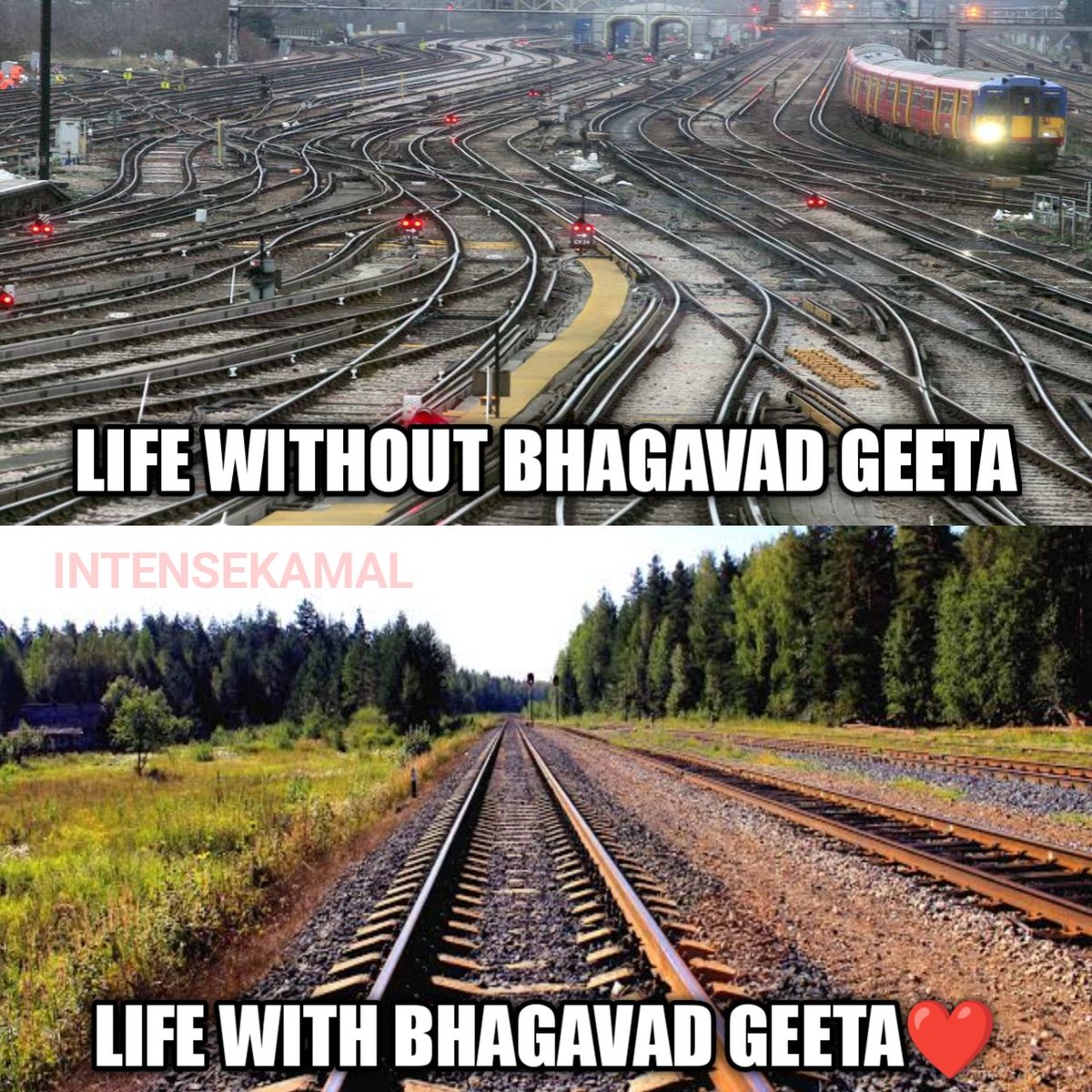🙏😔 Hare Krishna #bhagavadgita #bhagavadgitaquotes #bhagavadgitachanting #harekrishna #lifecoach #lifelessons #lifegoals #lifeisbeautiful #intensekamal