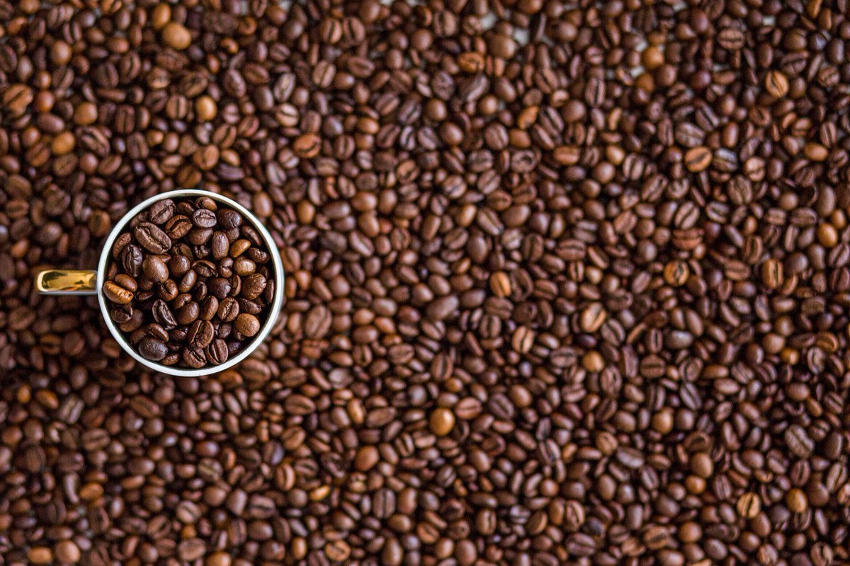 KaitesiEst35217's tweet photo. Coffee is the heartbeat of Uganda's economy! As a top coffee exporter, we're
fueling growth and prosperity. Be part of our coffee revolution and support local
farmers! Together, we can make a difference.
#ProduceMoCoffe https://t.co/bcu81xJn21