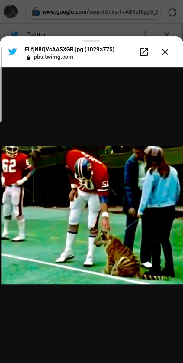 SirGreenDay's tweet photo. @GMFB Here is a pic of Benzoo. I'm 60 yrs old and I remember Benzoo fondly. https://t.co/0SJRTgC3sS