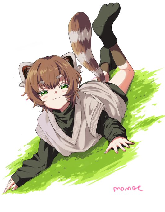 「:3 raccoon tail」 illustration images(Latest)