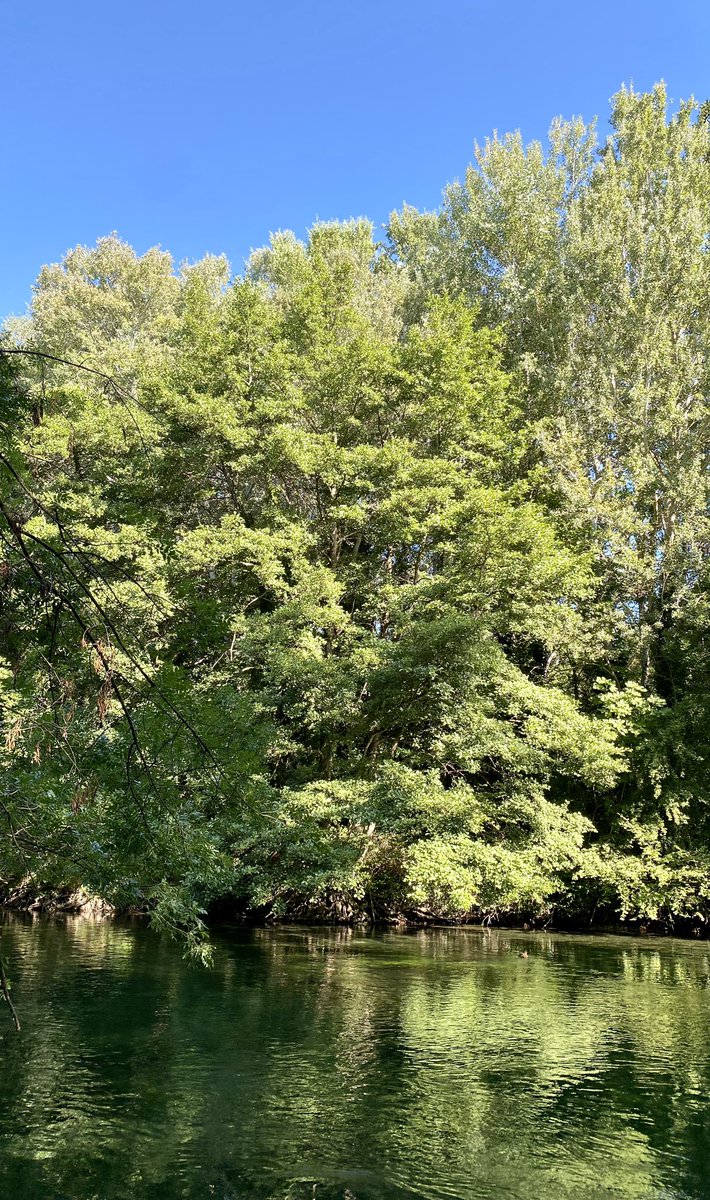 Started the morning right with a chilly river swim #riverdip