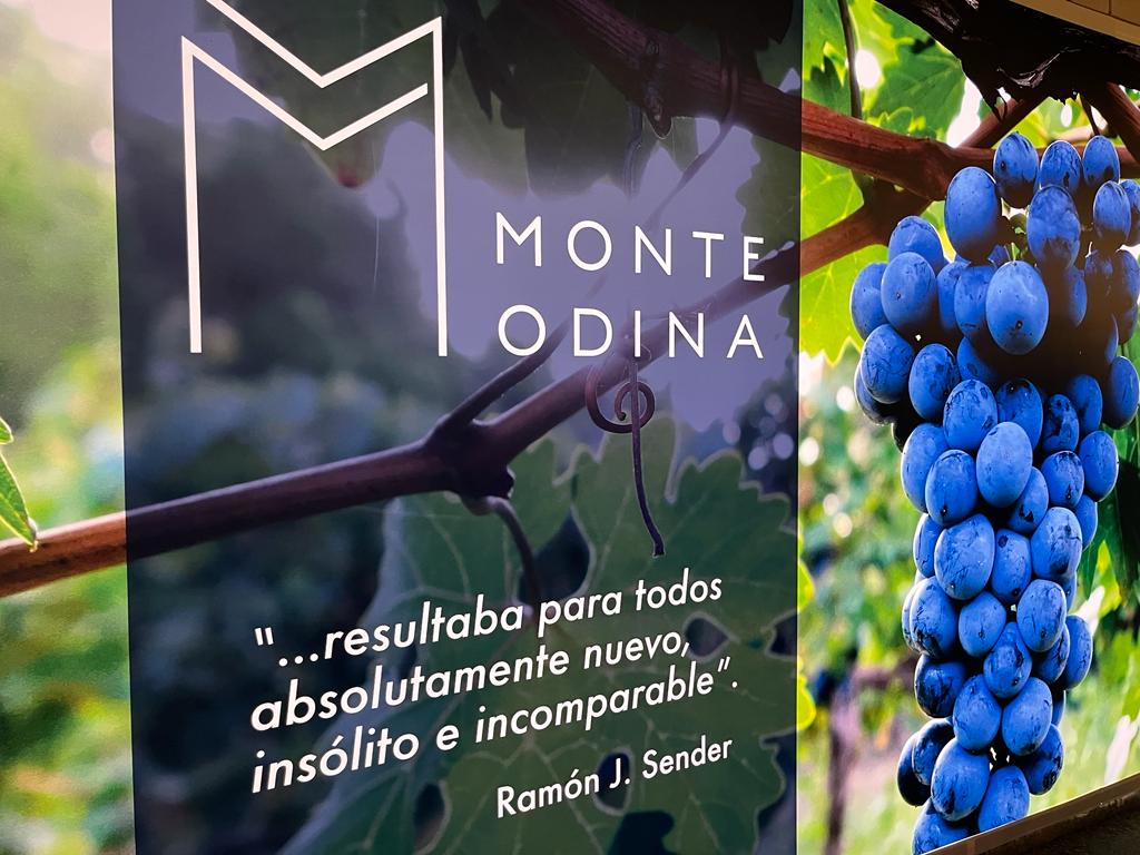 MonteOdina's tweet photo. ¡Mañana comienza el Festival del vino #Somontano! 

En #MonteOdina tenemos muchas ganas de poder disfrutar de este evento un año más con vosotros. 
🎭 Música, tapas, amigos y muy buenos vinos 🔝🍷 ¿qué más se puede pedir? ¡Os esperamos! 

 #vino #ElTesoroEscondidoDelSomontano https://t.co/bnliGxTQly