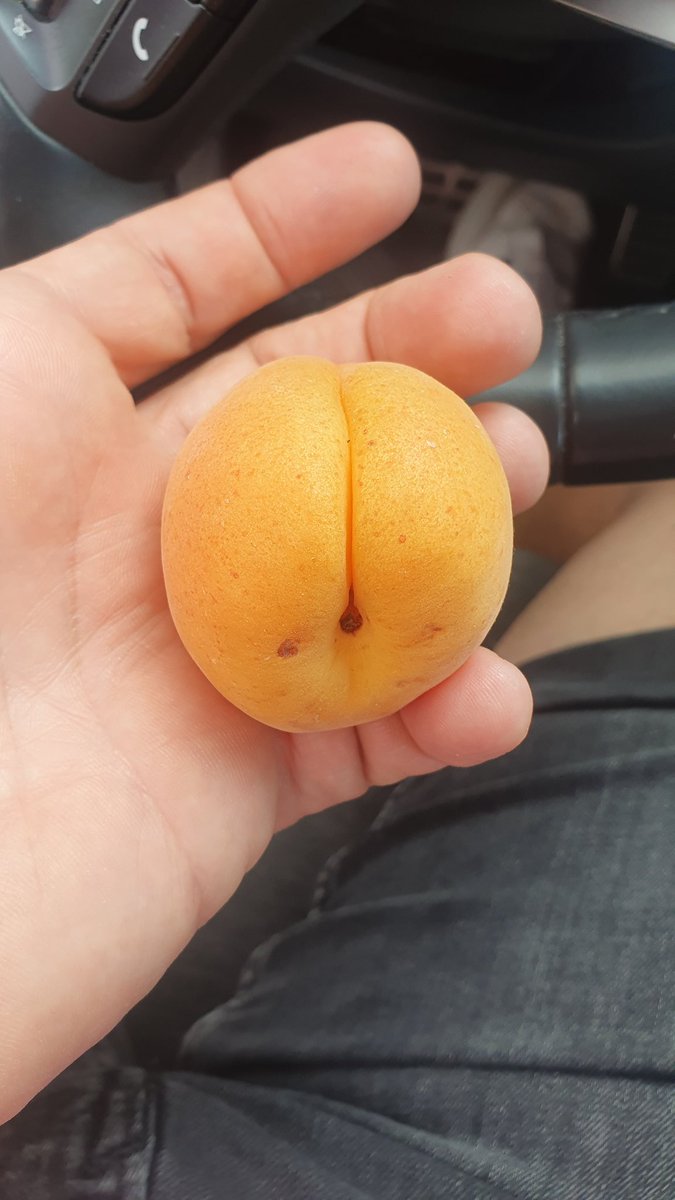 Moi je dis étrange d'offrir un abricot à son infirmier... 
#IDEL #abricot #ilsuffiradunsigneunmatin