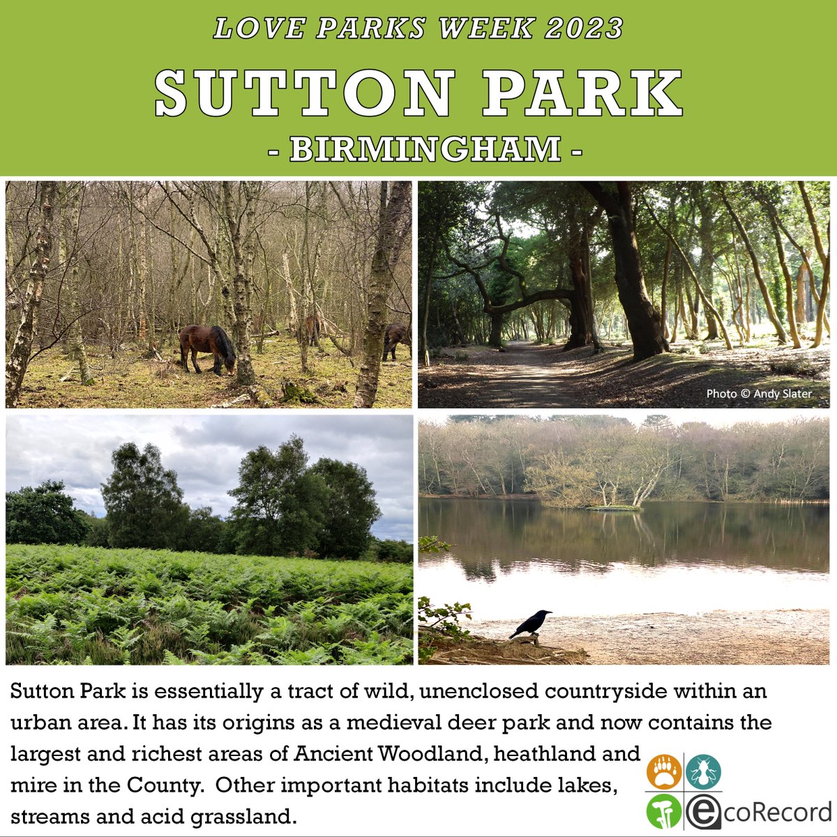 This week is #LoveParksWeek and we're celebrating with posts of a couple of highlights from Birmingham and the Black Country. Hopefully this will inspire you to go out this summer and enjoy the parks and wildlife we have at our doorstep. First up is Sutton Park in Birmingham!
