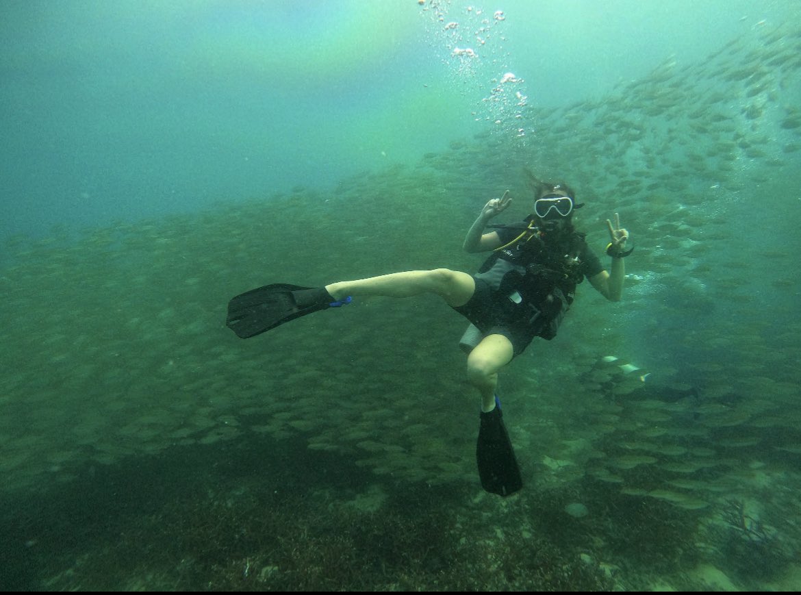 rachymeikle's tweet photo. Just an open water diver now, no big deal 🤙🏼🤿 https://t.co/rvFeZ3rXtC