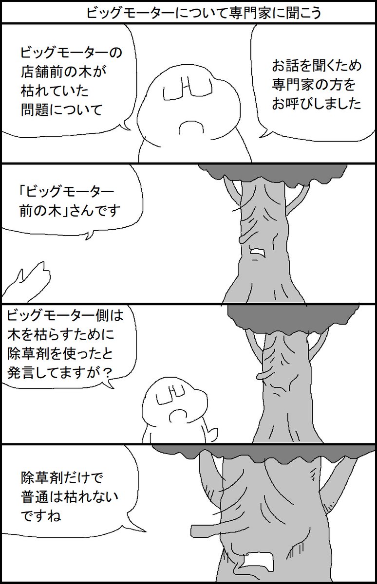 ビッグモーターについて専門家に聞こう
