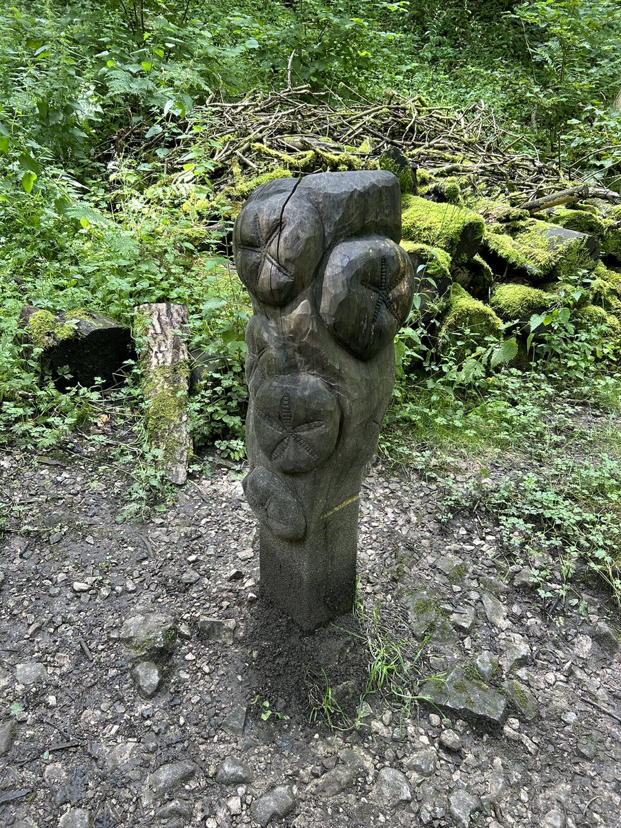 Sam Seabrook-Stockley tweet media