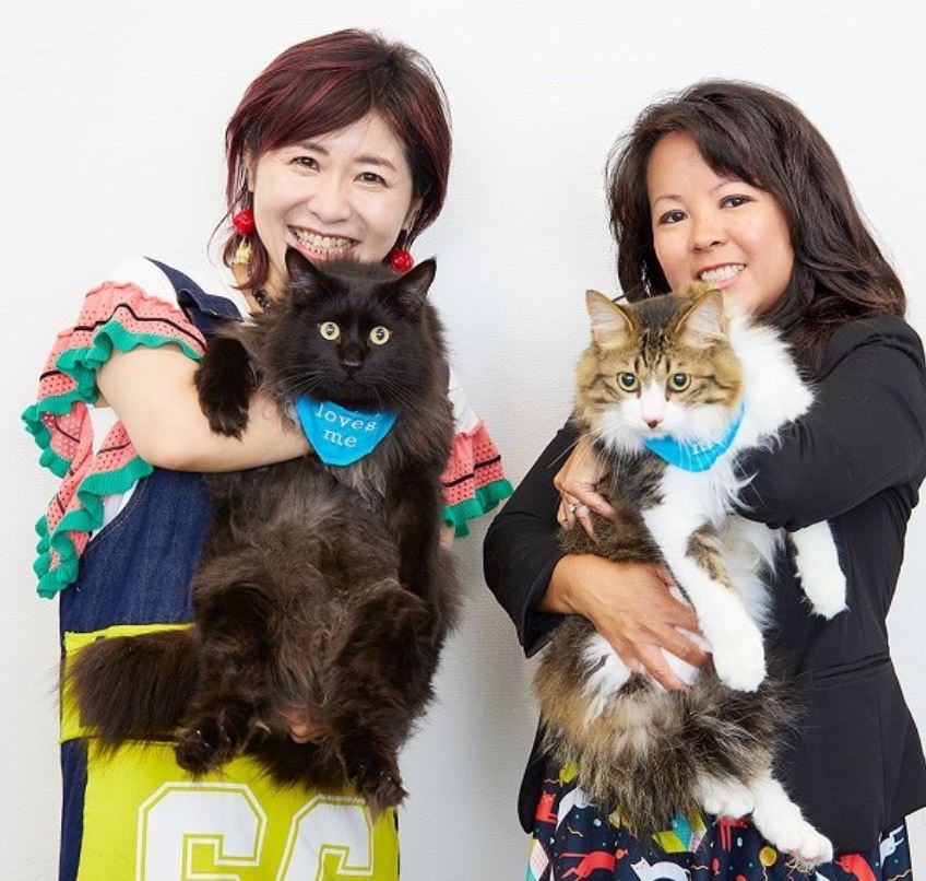GLOW_tkj's tweet photo. 伊藤さとりさんの映画連載、本日は『猫と、とうさん』 @catdaddiesjp 
のマイ・ホン監督にインタビュー！
写真はさとりさんちのプリンくんとマロンくん！　

https://t.co/qEsprKLZgD

#映画　#猫ととうさん　#伊藤さとり https://t.co/JljlNa9QTr