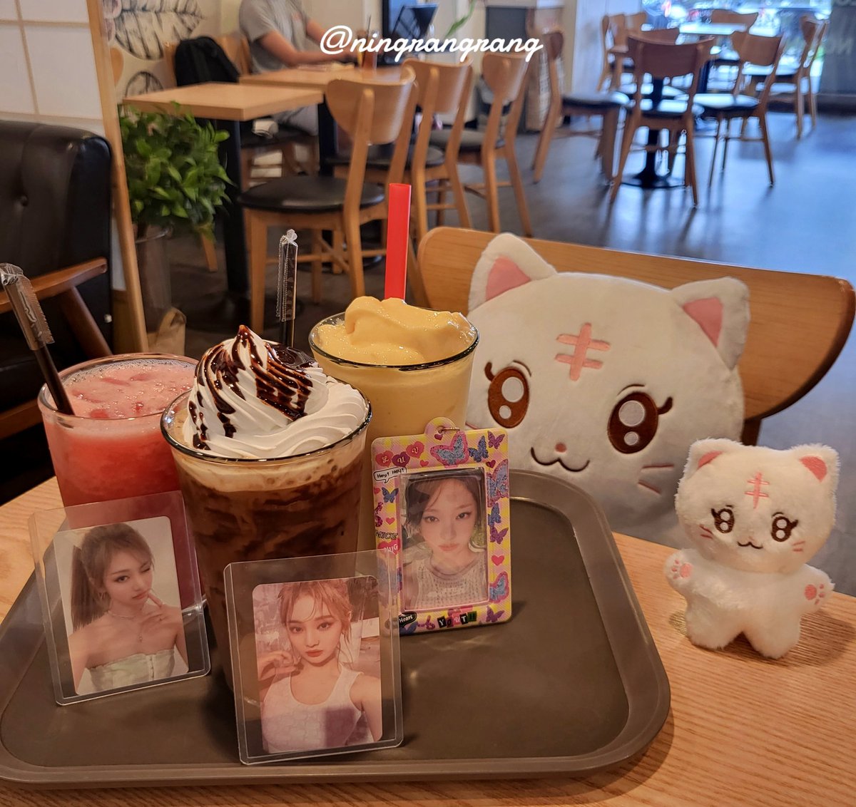 ningrangrang's tweet photo. 왕랑이와 랑랑이의 외출😽🥛 https://t.co/Laa1PbyZJe