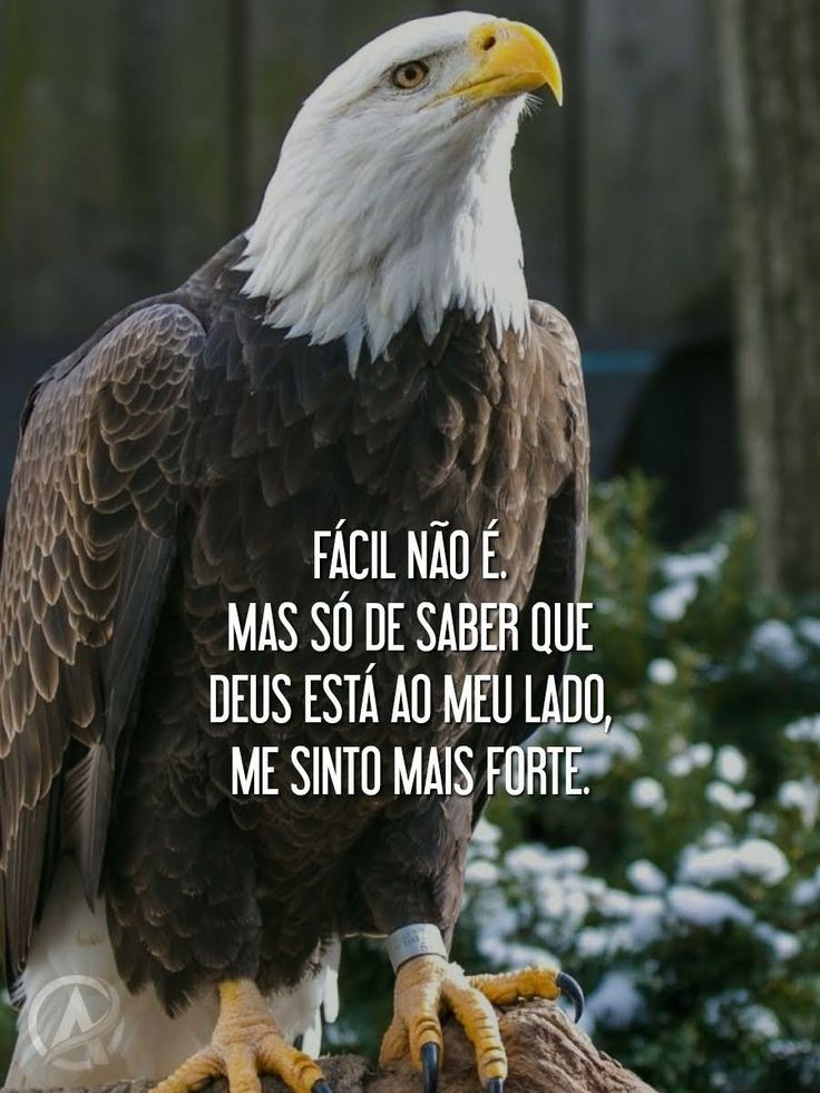 Reflexão Bíblica 🕊 tweet media