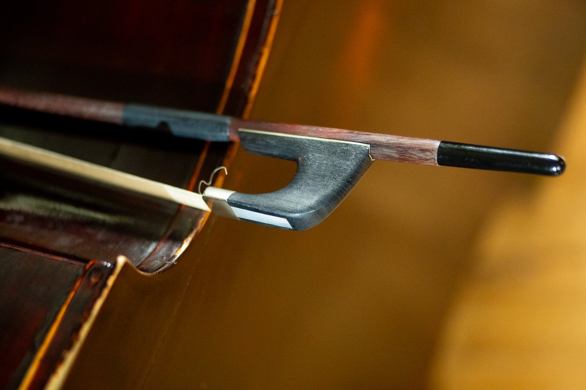 DiscoverDoubleB's tweet photo. Morning - what are you practising right this week? π§
#doublebass #learndoublebass #germanbow #discoverdoublebass https://t.co/HcXgnE85BO