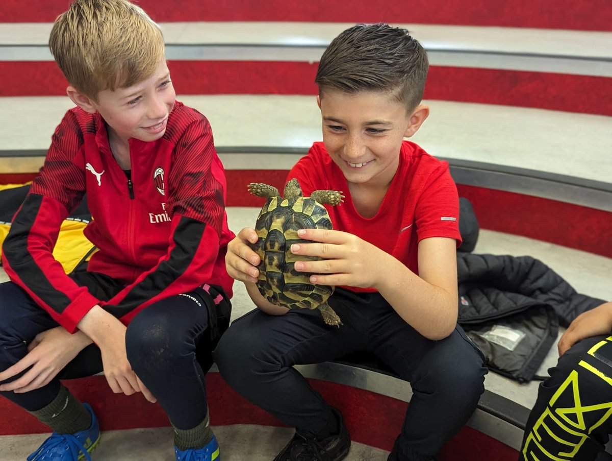 Central Academy tweet media