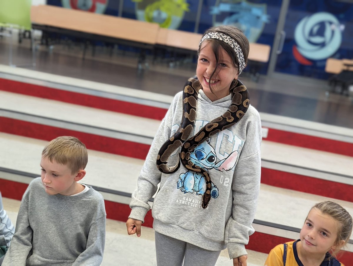 Central Academy tweet media