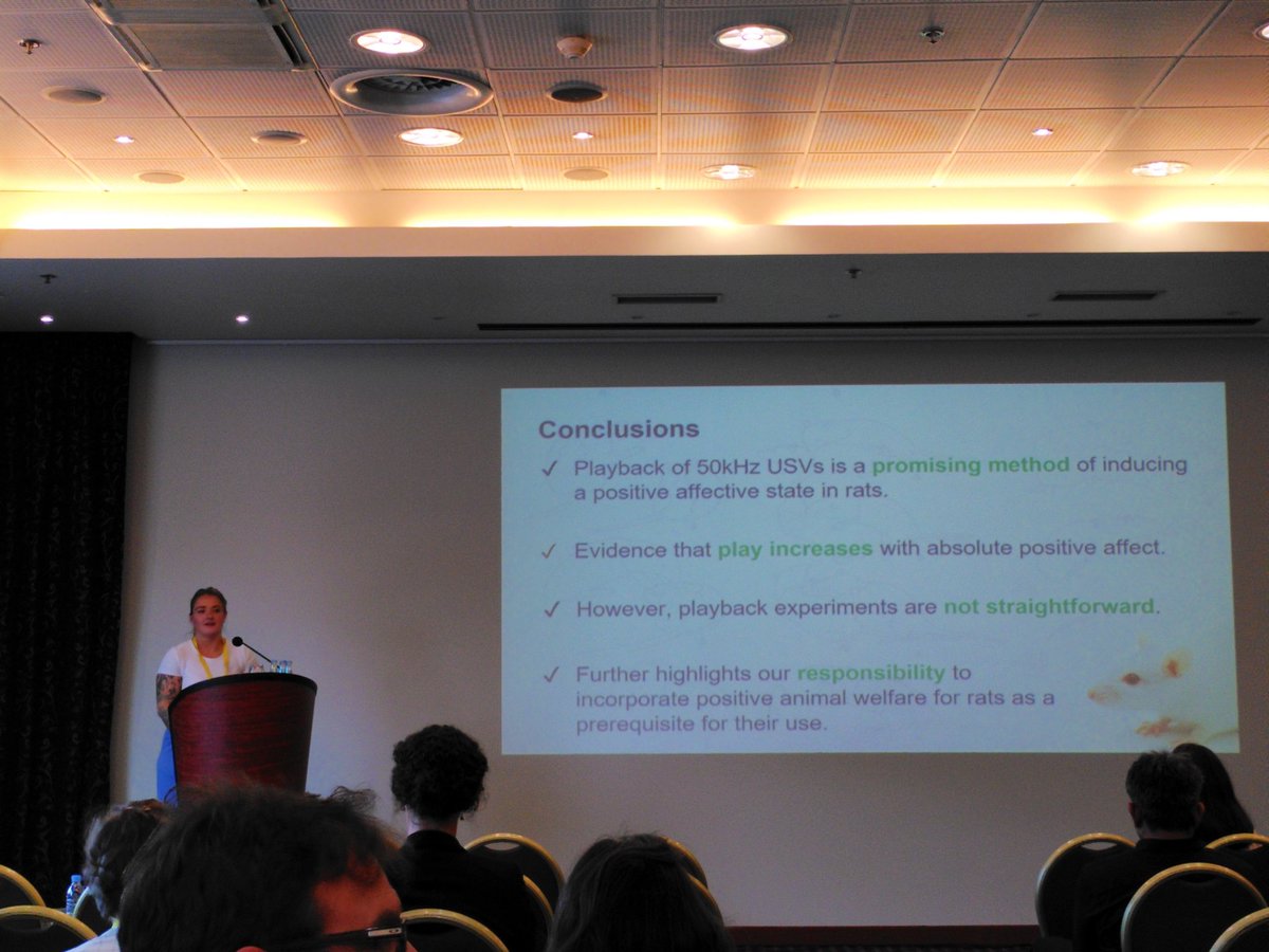 LateraLiterally's tweet photo. Two super nice talks in a row of Marek Spinka and @Tayla__Hammond about ultrasonic vocalisations and positive appraisal in rats ! #ISAE2023 #positivewelfare https://t.co/Z9vNeL6mOw