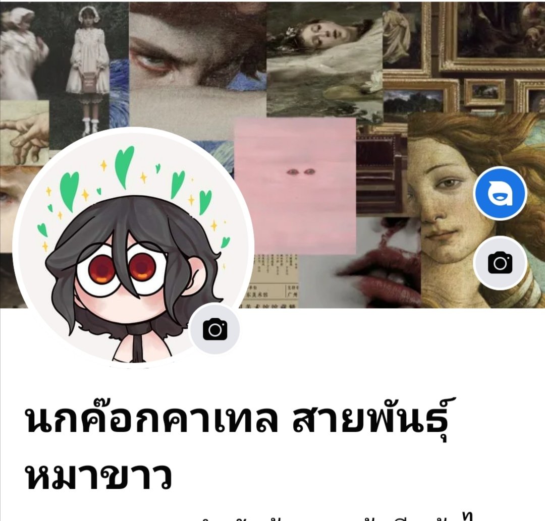 ✞ 𝐅𝐢𝐞𝐠𝐚&𝔈𝔩𝔦𝔧𝔞&ʎǝɐS✞(ติดวิจัย) tweet media