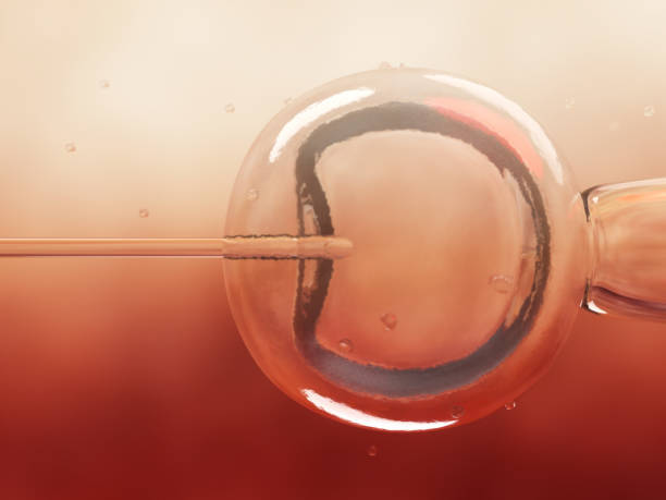 DI for Infertility tweet media