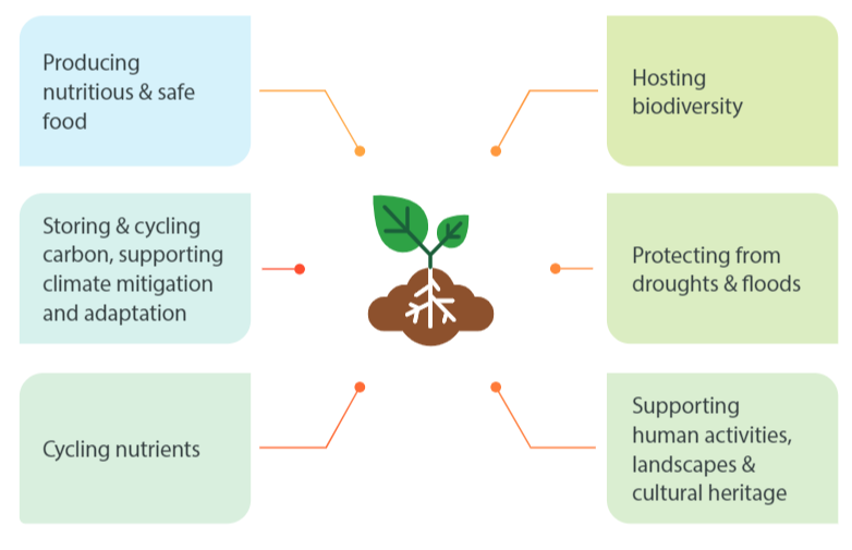 🌱#EUSoils are a scarce, non-renewable resource.

🚀Do you want to know more about the importance of soils &amp; the #MissionSoil?

📑Check out our latest factsheet here: europa.eu/!R4R98R

🖊️Don't forget to sign the #MissionSoil Manifesto to #SaveSoil: europa.eu/!Wv3h4p