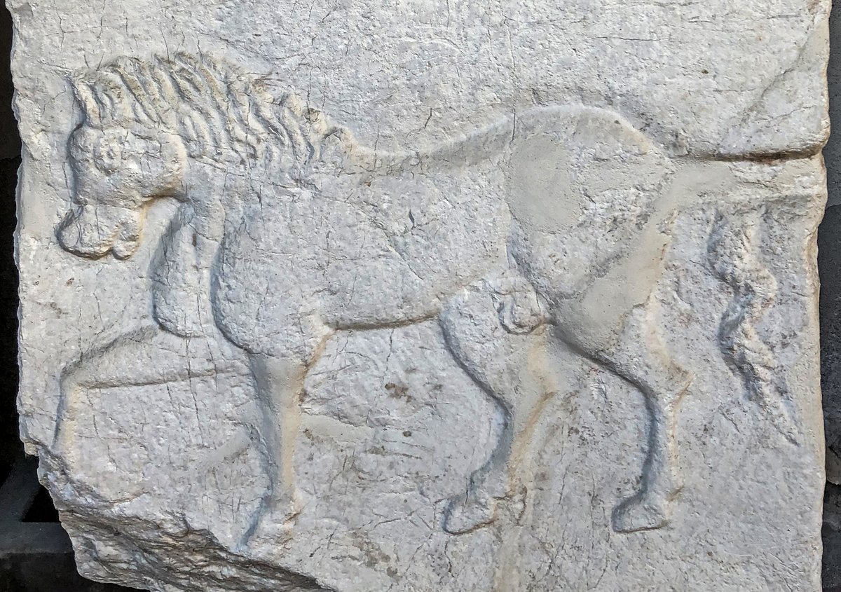 Gareth Harney tweet media