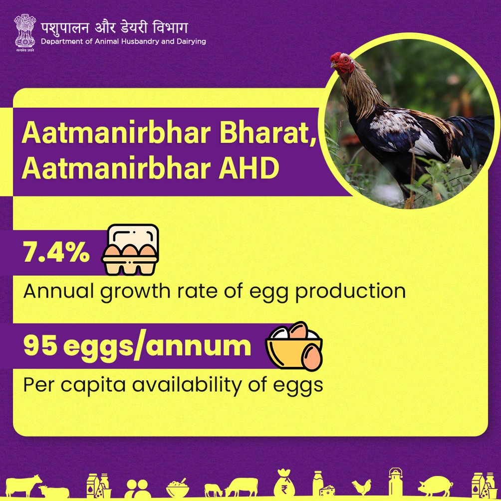 Dept_of_AHD's tweet photo. India’s renewed focus on food and nutrition security over the past 9 years is shaping a healthier, stronger future.

#AnimalWealth #AnimalHusbandry #AatmanirbharBharat https://t.co/xzHElQNkSb