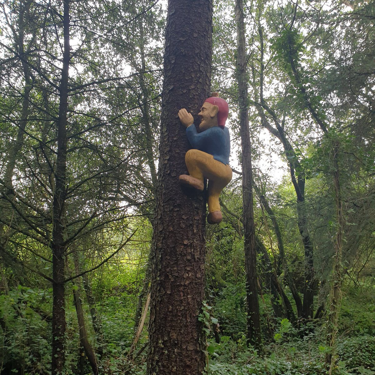 Mark_Wardell's tweet image. Seen on today's run: not entirely sure why this is here in the middle of the woods in rural France! Made me smile though 😀

#ukrunchat #runr #trailrunning