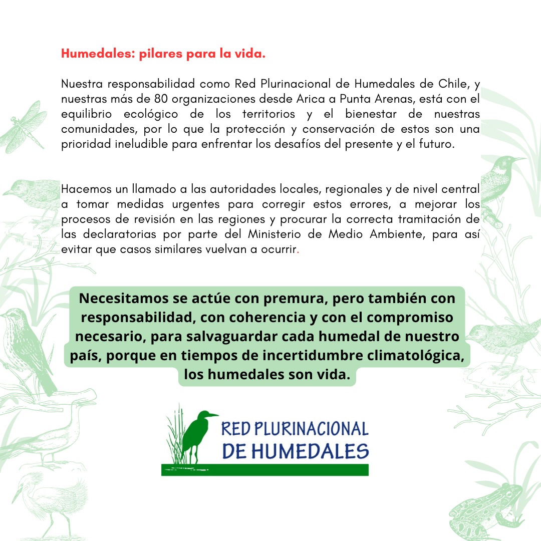 🔴 "COMUNICADO PÚBLICO"
 Como Red Plurinacionacional de Humedales nos encontramos en Alerta por las impugnaciones que han tenido las Declaratorias de Humedales Urbanos en los Tribunales Ambientales.
<a href="/humedalelqui/">ONG Elqui Verde</a> 
<a href="/humedalesbiobio/">Red Humedales del Bío Bío</a> 
<a href="/HumedalDeBatuco/">Humedal de Batuco</a> 
<a href="/HumedalAlerce/">Humedal Urbano Mallinko Abtao Lawal</a> 
<a href="/RQuilicura/">Resistencia Socioambiental Quilicura</a>