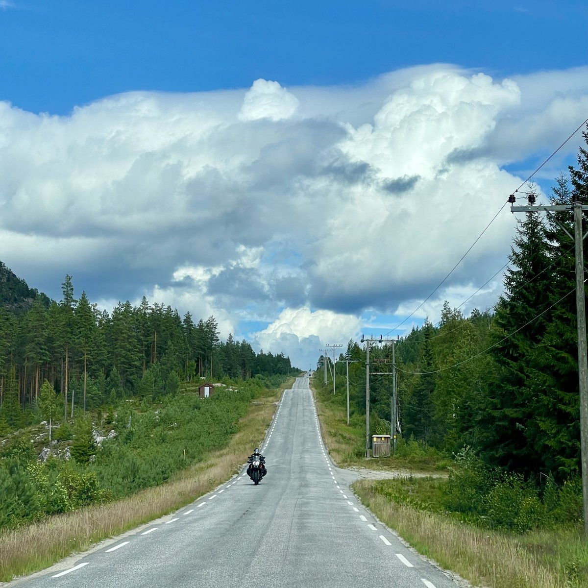 xjohnmac's tweet image. Norway roadtrip with beautiful nature 🌲 People ask if I miss Norway, and I say no. I don't miss the people's slow and limited mindset, the insane prices, and the system ⚙️ The only thing I miss  is the nature 🌱

#NorwayNature #ExploreNorway #Norge