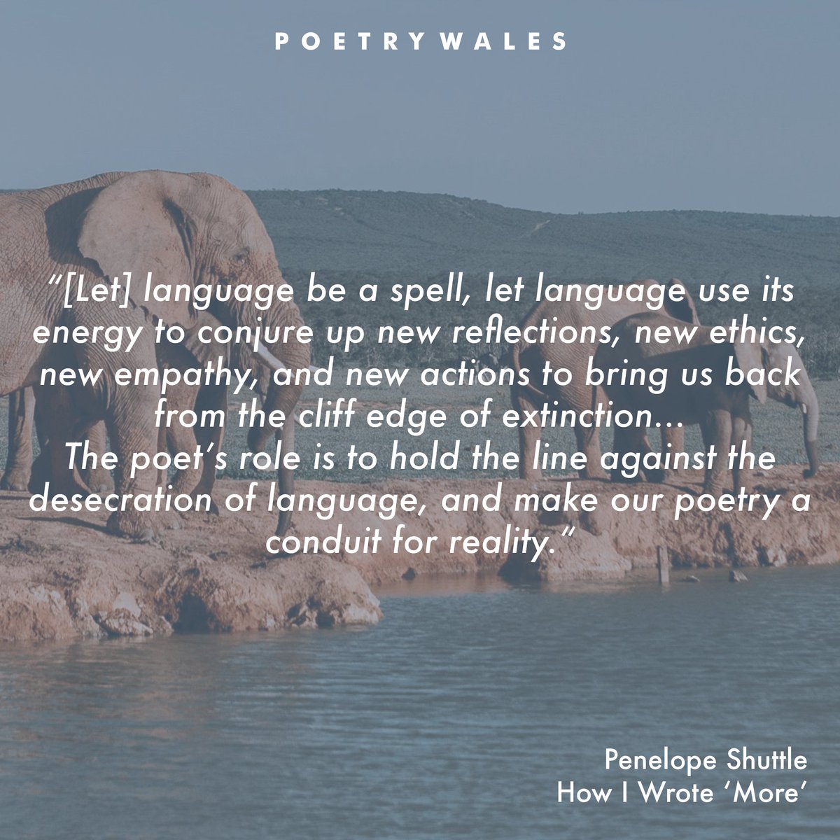 Poetry Wales (@poetrywales) on Twitter photo This week in #HowIWriteAPoem, <a href="/ZoeBrigley/">Zoë Brigley</a> and @penelopeshuttle discuss activism in poetry, serious playfulness and playful seriousness, and the innate need for more elephants 🐘
tinyurl.com/HIWAPPenelopeS… This week in #HowIWriteAPoem, <a href="/ZoeBrigley/">Zoë Brigley</a> and @penelopeshuttle discuss activism in poetry, serious playfulness and playful seriousness, and the innate need for more elephants 🐘
tinyurl.com/HIWAPPenelopeS…