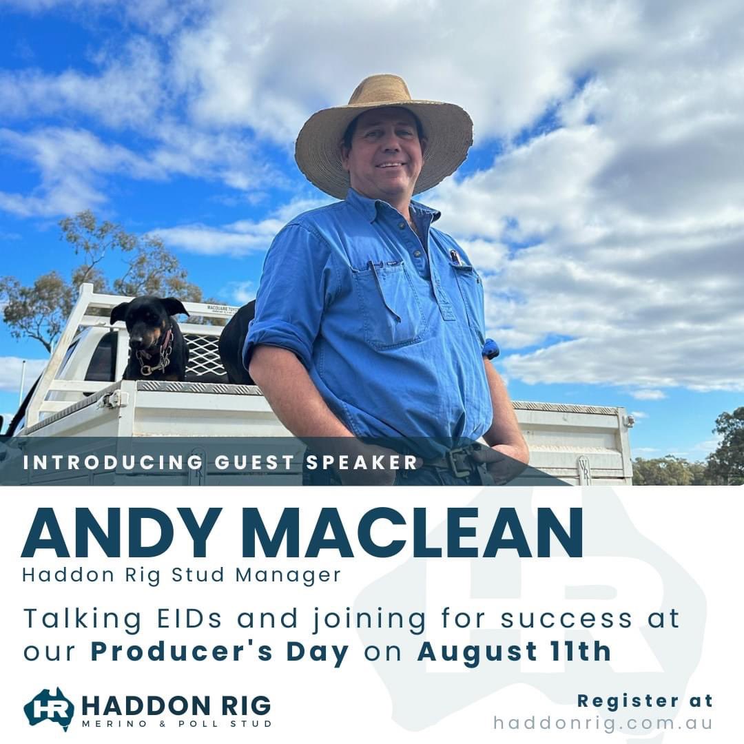 haddonrigstud tweet media