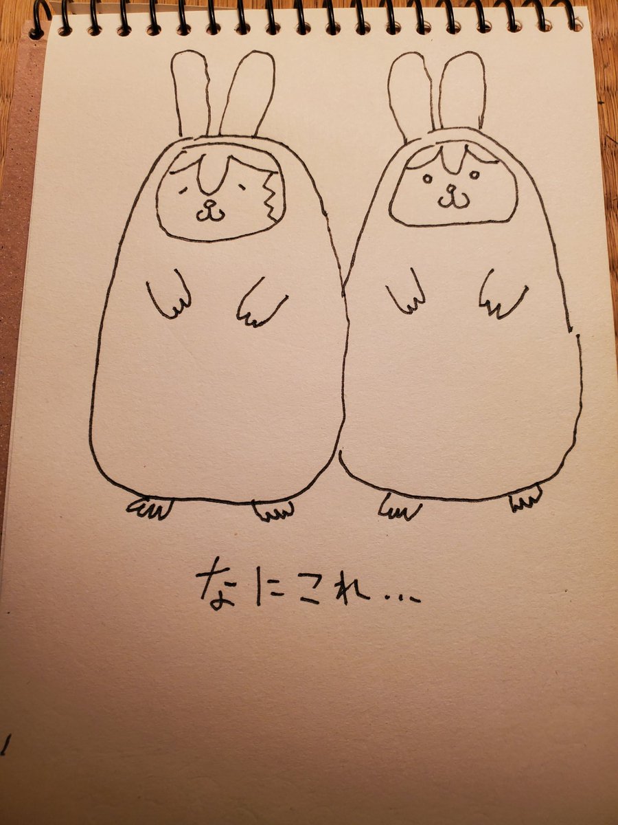 バニーの時雨と夕立です🐹(圧)