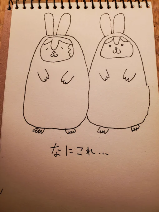 バニーの時雨と夕立です🐹(圧)