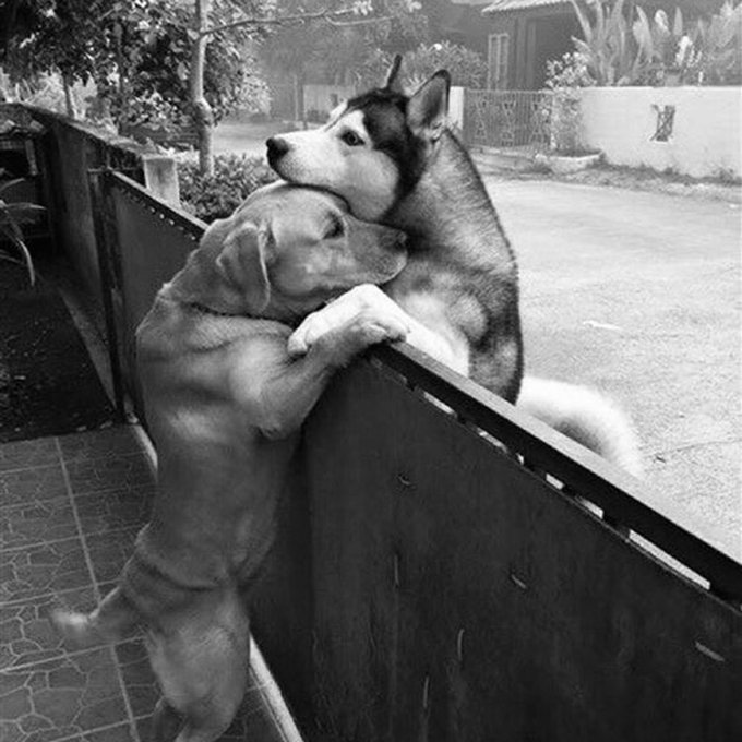 culturaliteral1's tweet image. En el idioma quechua no existe la palabra “adiós”, existe “tupananchiskama” que significa: “hasta que la vida nos vuelva a encontrar”.