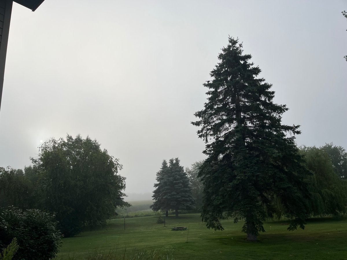 Who else is being sprayed in the United States this is rural Minnesota. If we can establish a pattern maybe we can figure out what these bastards are up to, and stop them!