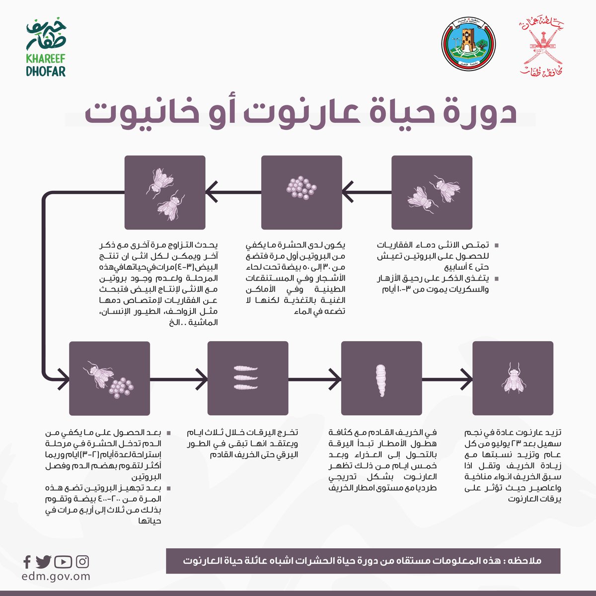 🔺 تعلن #بلدية_ظفار عن بدء برنامج المكافحة التجريبي للحد من انتشار بعوضة الزاعجة المصرية والبعوض الموسمي (العارنوت) بعدد من المواقع السياحية.

🔻للمزيد من التفاصيل