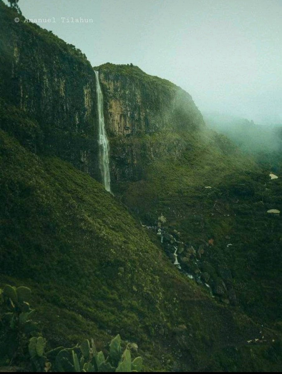 Yohannes Asfaw (@ybayuh) on Twitter photo 