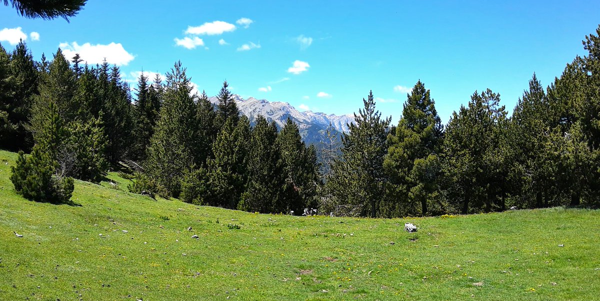 👋Estem preparant una nova edició del butlletí del #CTFC, si voleu estar al corrent de les nostres novetats i llegir algunes notícies fresquetes aquest estiu, us podeu subscriure a la nostra web👉ctfc.cat