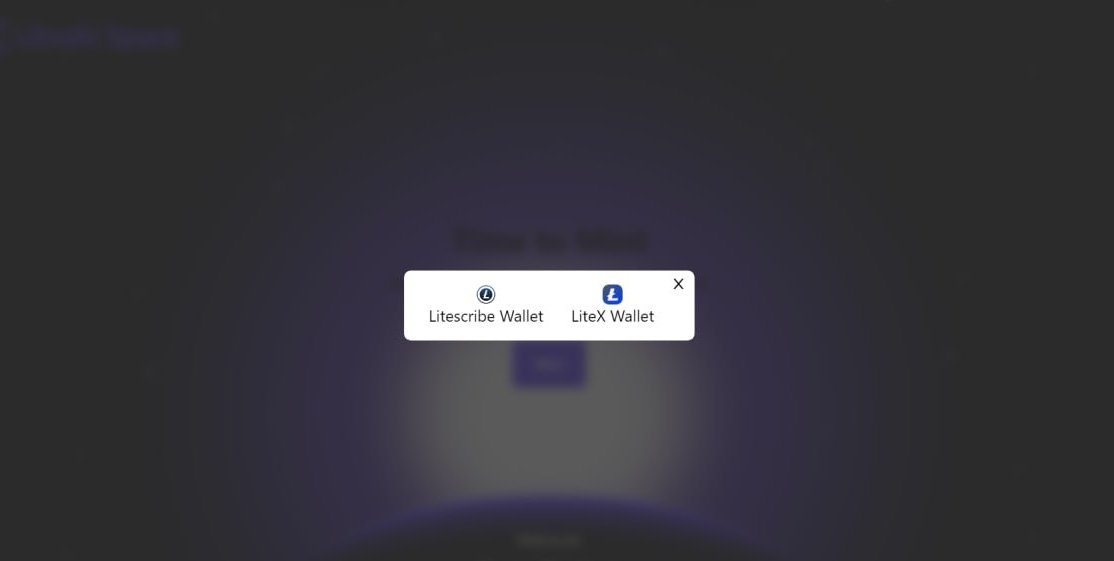 LiteX Wallet is now integrated with <a href="/Litoshimarket/">Litoshi Space</a> 🟦
👏😍👉litoshi.app
