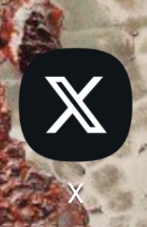 Litha Bacchi tweet media