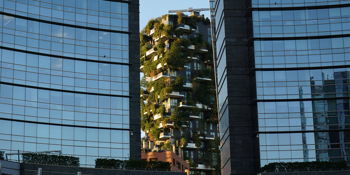 nbfc_italy's tweet image. Spoke 5 di NBFC promuove lo studio della biodiversità urbana con focus su suolo, alberi e l&apos;impatto positivo sui servizi ecosistemici. 🌳🏙️

#nbfc #biodiversity #spoke5 #urban #urbanbiodiversity