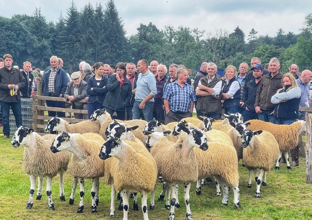 The H&amp;H calendar tells us it is August, but not sure the weather knows it?!  This month's photo was taken by Lynne Grieve, is entitled "Alston Show Mule Ewe Lamb Judging" - a great picture and very topical as we start to go into the hectic sheep sales season🐏 Well done Lynne 👏