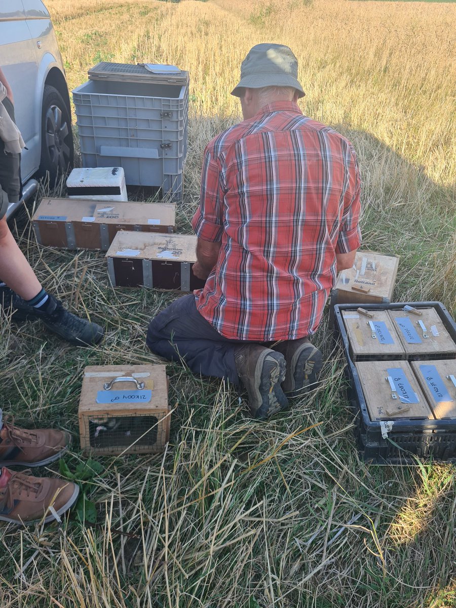 Geert Gabriëls tweet media