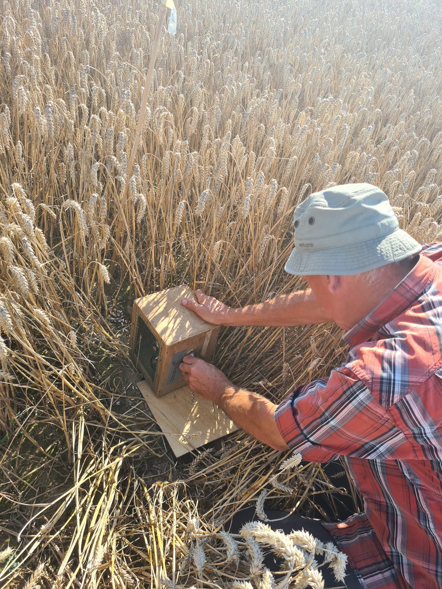 Geert Gabriëls tweet media