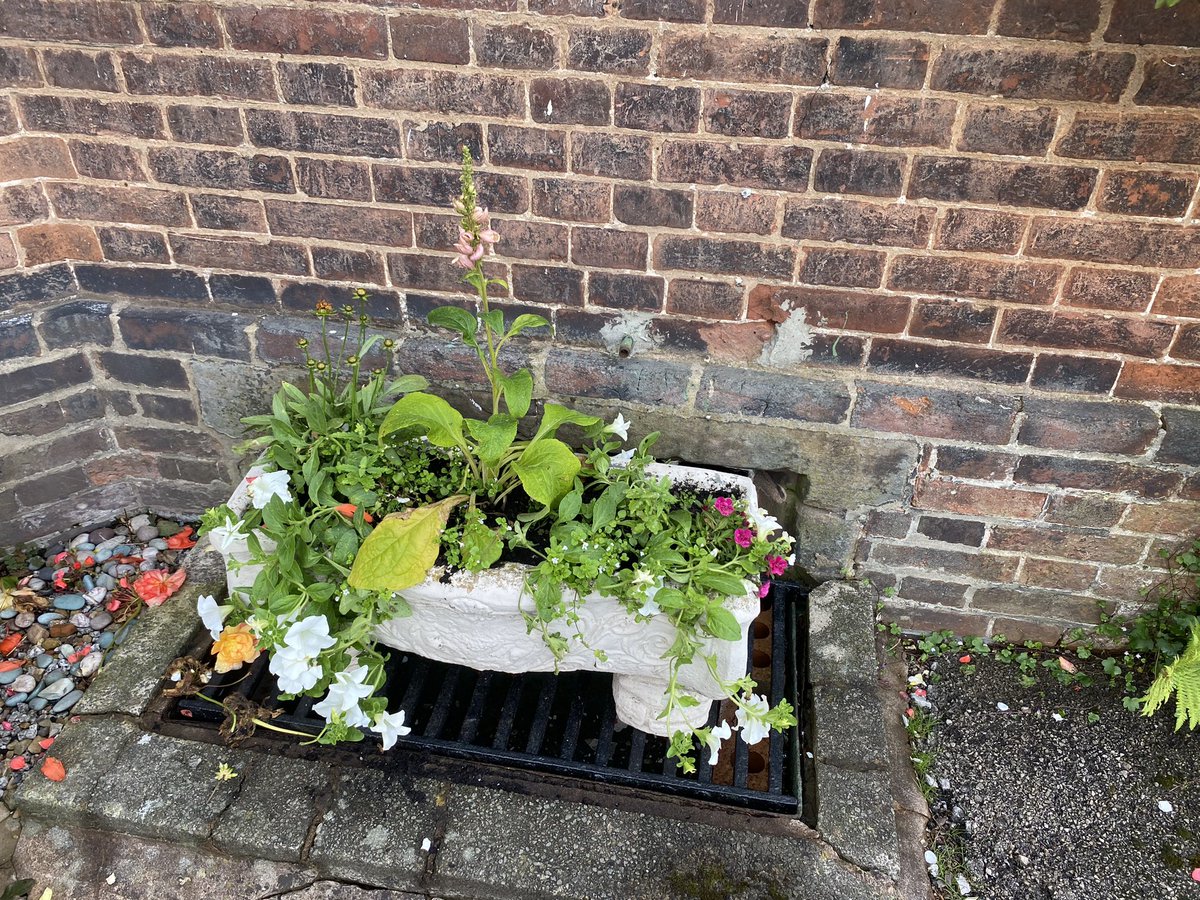 The Green Wellbeing Project tweet media