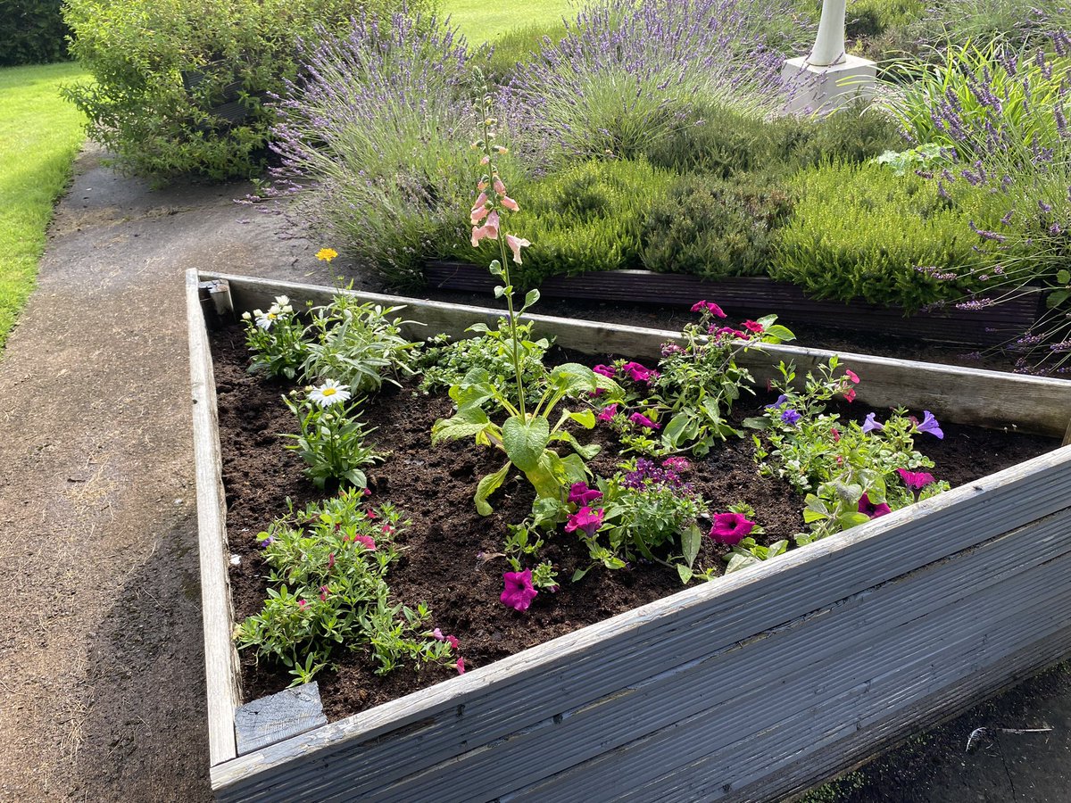 The Green Wellbeing Project tweet media