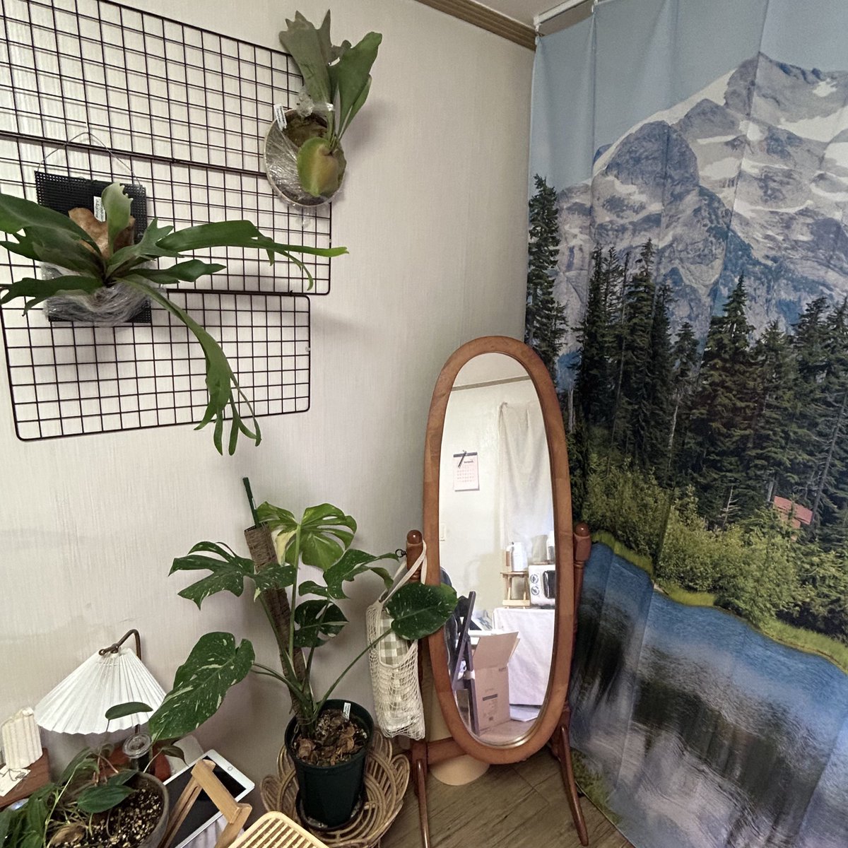 박쥐란. 실습에 적응하도록 해.