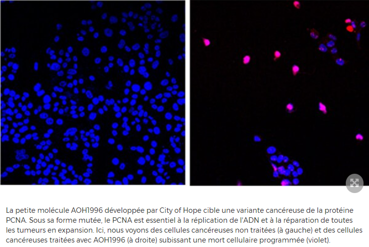 Le Génie Humain tweet media