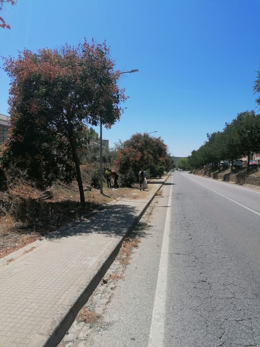 AytoCazalla's tweet image. 𝐂𝐨𝐧𝐭𝐢𝐧𝐮́𝐚𝐧 𝐥𝐚𝐬 𝐭𝐚𝐫𝐞𝐚𝐬 𝐝𝐞 𝐥𝐢𝐦𝐩𝐢𝐞𝐳𝐚 𝐲 𝐝𝐞𝐬𝐛𝐫𝐨𝐜𝐞 𝐞𝐧 𝐂𝐚𝐳𝐚𝐥𝐥𝐚 𝐝𝐞 𝐥𝐚 𝐒𝐢𝐞𝐫𝐫𝐚. #AytoCazalla #porunacazallalimpia #limpiezaydesbroce #implicate