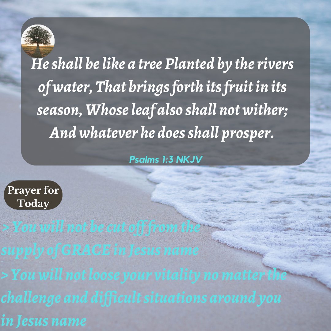 OlfemSamuel's tweet photo. You will not be cut off from the supply of GRACE in Jesus name...
#inspiration #grace #pft2023
#olfem https://t.co/SVdPIeR1MW