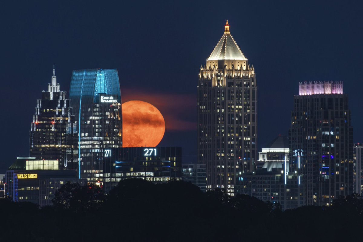 Beautiful Georgia tweet media